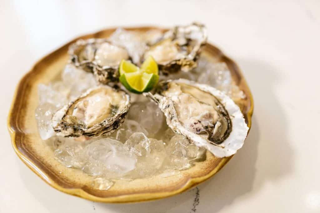 Oysters - Viagra Food