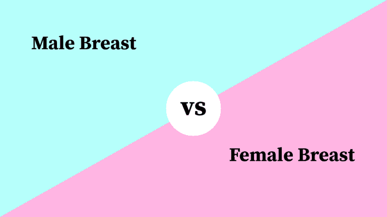 Differences Between Male Breast and Female Breast