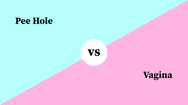 Differences Between Pee Hole and Vagina