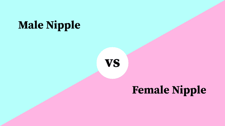 Differences Between Male Nipple and Female Nipple
