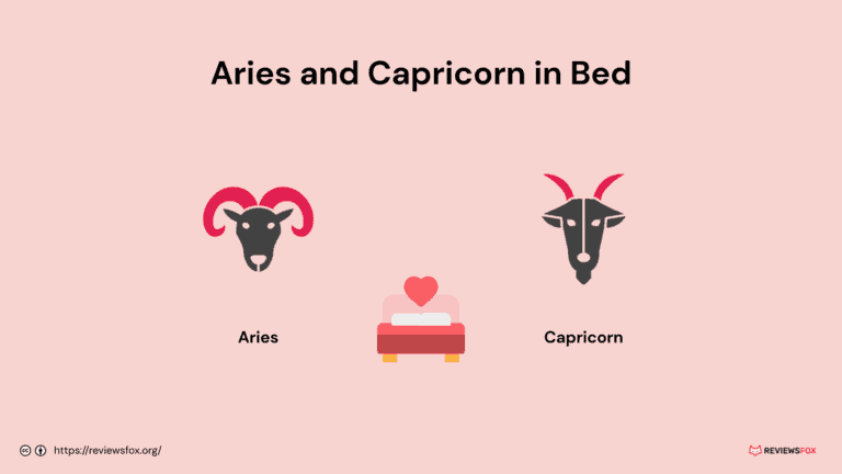 Are Aries and Capricorn Good in Bed?
