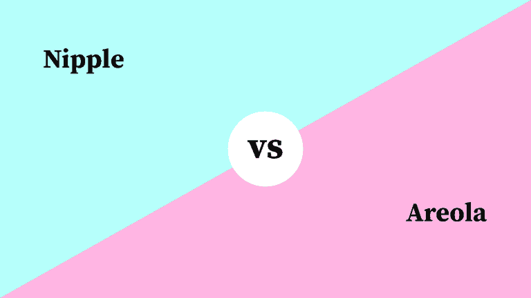 Differences Between Nipple and Areola