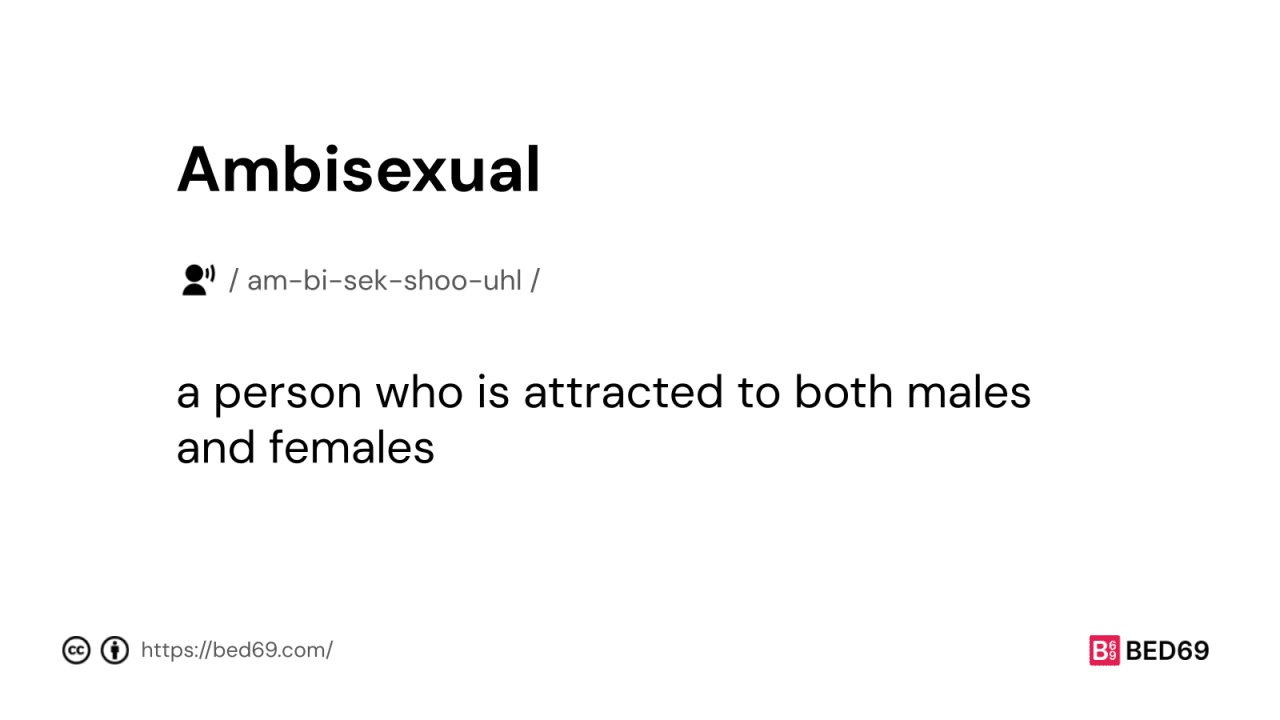 Ambisexual - Word Definition