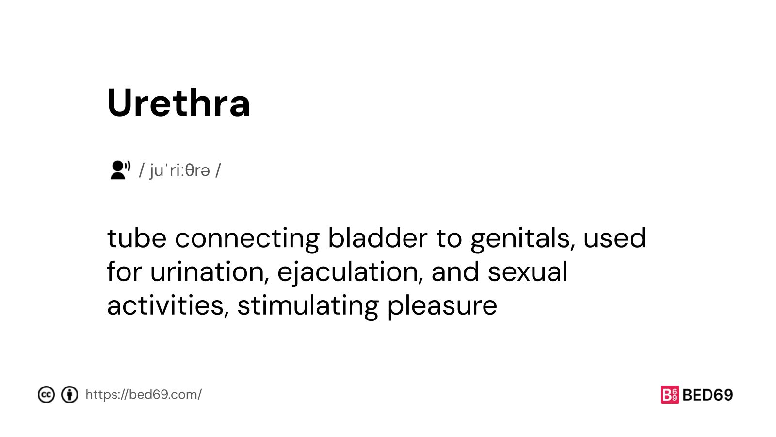 Urethra - Word Definition